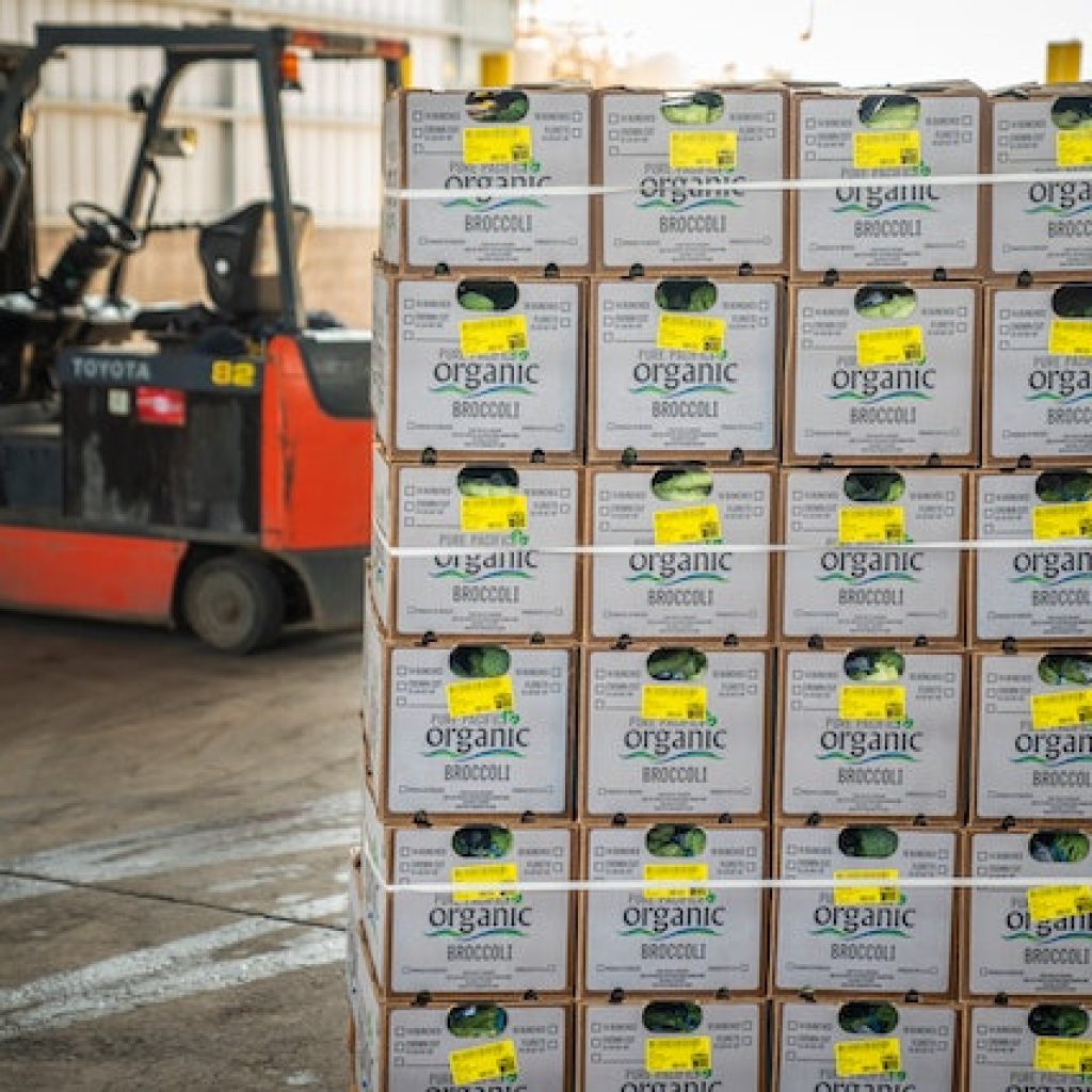 montacargas usados en Aguascalientes